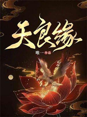 天良缘 天良缘