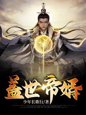 盖世帝婿 盖世帝婿