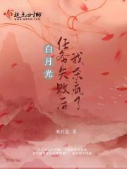揉碎月光免费阅读 揉碎月光免费阅读