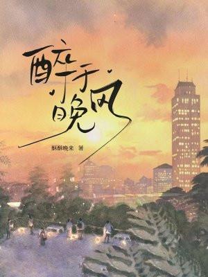 醉于晚风 醉于晚风
