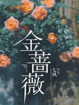 然后变成魔法少女 作者弧盐 然后变成魔法少女 作者弧盐